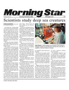 Scientists study deep sea creatures