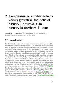 2 Comparison of nitrifier activity versus growth in the Scheldt