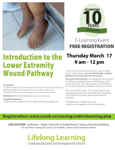 Introduction to the Lower Extremity Wound Pathway E-Learning Event