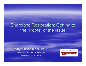 Shoreland Restoration: Getting to the “ Roots