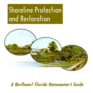 Shoreline Protection and Restoration