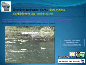 Shoreland restoration plans / plant choices / establishment tips / maintenance