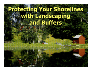Protecting Your Shorelines with Landscaping and Buffers