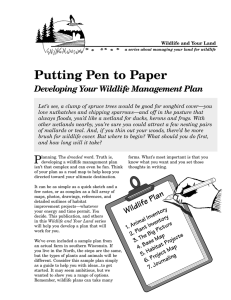 Putting Pen to Paper Developing Your Wildlife Management Plan