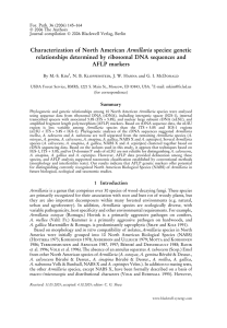 Characterization of North American Armillaria species: genetic