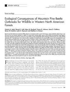 Ecological Consequences of Mountain Pine Beetle Forests