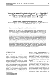 Trophic Ecology of Sardinella gibbosa (Pisces: Clupeidae)