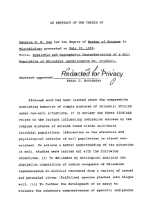 Kathryn H. M. Yap for the degree of Master of... Title: Symbiotic and Saprophytic Characteristics of a Soil
