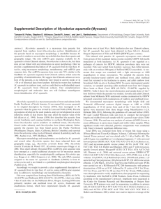 Supplemental Description of Myxobolus squamalis (Myxozoa)