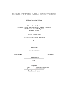 GAMBIERDISCUS William Christopher Holland A Thesis Submitted to the