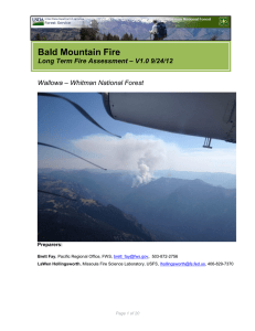 Bald Mountain Fire  – V1.0 9/24/12 Long Term Fire Assessment