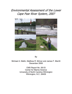 Environmental Assessment of the Lower Cape Fear River System, 2007