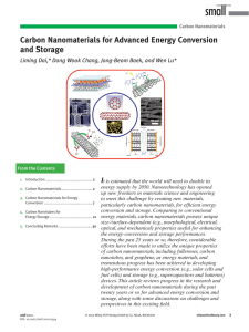 Carbon Nanomaterials for Advanced Energy Conversion and Storage I