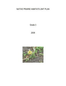 NATIVE PRAIRIE HABITATS UNIT PLAN  Grade 3 2009