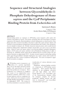 Sequence and Structural Analogies between Glyceraldehyde-3- Homo Escherichia coli