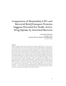 Comparison of Mammalian LAT1 and Bacterial BrnQ Transport Proteins