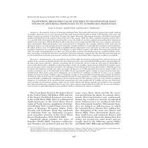FLOWERING BRANCHES CAUSE INJURIES TO SECOND-YEAR MAIN ARTEMISIA TRIDENTATA Lance S. Evans