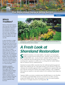 The Shoreland Stewardship Series Which Tradition?