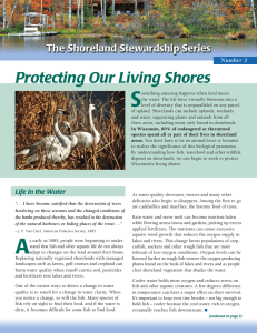 S Protecting Our Living Shores The Shoreland Stewardship Series