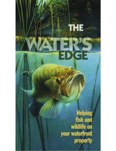 EDGE THE Helping fish and