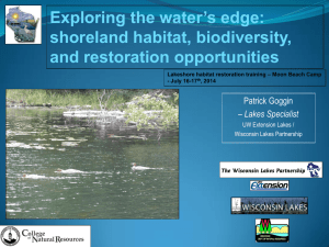 Exploring the water’s edge: shoreland habitat, biodiversity, and restoration opportunities