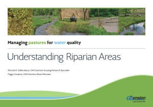 Understanding Riparian Areas Managing for quality