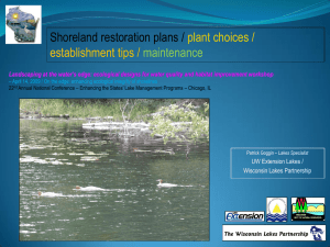 Shoreland restoration plans / plant choices /  establishment tips /