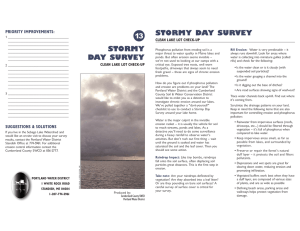 13 STORMY DAY SURVEY PRIORITY IMPROVEMENTS: CLEAN LAKE LOT CHECK-UP