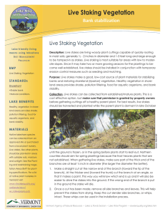 Live Staking Vegetation Bank stabilization
