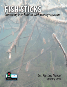 FISH STICKS Improving lake habitat with woody structure Best Practices Manual January 2014