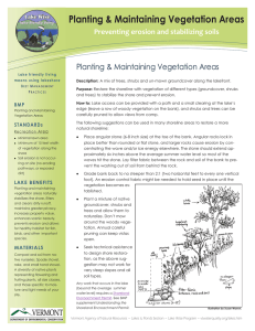 Planting &amp; Maintaining Vegetation Areas Preventing erosion and stabilizing soils  BMP