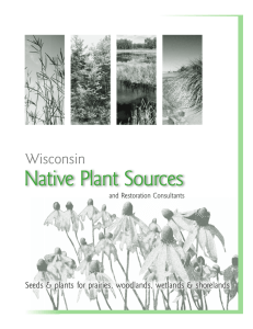 Wisconsin Seeds &amp; plants for prairies, woodlands, wetlands &amp; shorelands