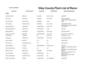 Vilas County Plant List of Recommended Lakeshore Species Plant Characteristics grows 80'