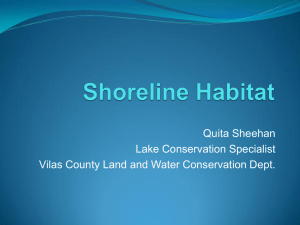 Shoreline Habitat