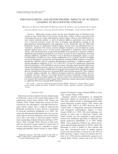 PHOTOSYNTHETIC AND HETEROTROPHIC IMPACTS OF NUTRIENT LOADING TO BLACKWATER STREAMS