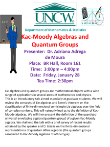 Kac-Moody Algebras and Quantum Groups
