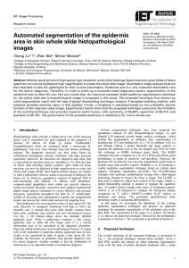 Automated segmentation of the epidermis area in skin whole slide histopathological