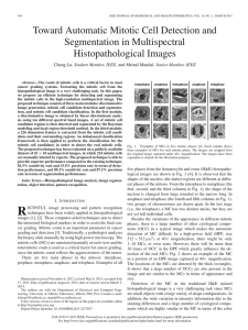 Toward Automatic Mitotic Cell Detection and Segmentation in Multispectral Histopathological Images