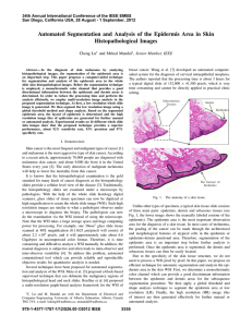 Automated Segmentation and Analysis of the Epidermis Area in Skin