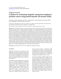 Original Article A system for evaluating magnetic resonance imaging of