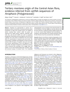 ﬂora, Tertiary montane origin of the Central Asian Atraphaxis (Polygonaceae)