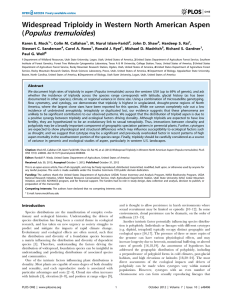 Populus tremuloides Widespread Triploidy in Western North American Aspen ( )