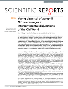 Young dispersal of xerophil intercontinental disjunctions of the Old World Nitraria
