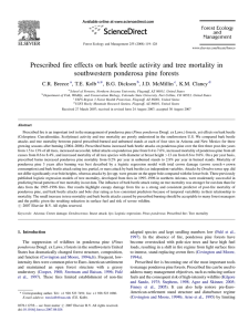 Prescribed fire effects on bark beetle activity and tree mortality... southwestern ponderosa pine forests