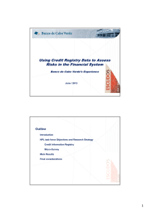 Using Credit Registry Data to Assess Risks in the Financial System Outline