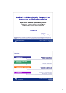 Application of Micro Data for Systemic Risk Assessment and Policy Formulation