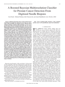 A Boosted Bayesian Multiresolution Classifier for Prostate Cancer Detection From