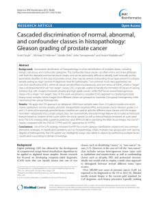 Cascaded discrimination of normal, abnormal, and confounder classes in histopathology: