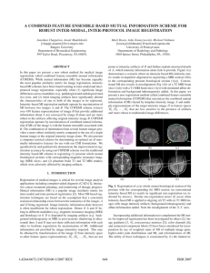 A COMBINED FEATURE ENSEMBLE BASED MUTUAL INFORMATION SCHEME FOR