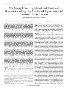 Combining Low-, High-Level and Empirical Domain Knowledge for Automated Segmentation of